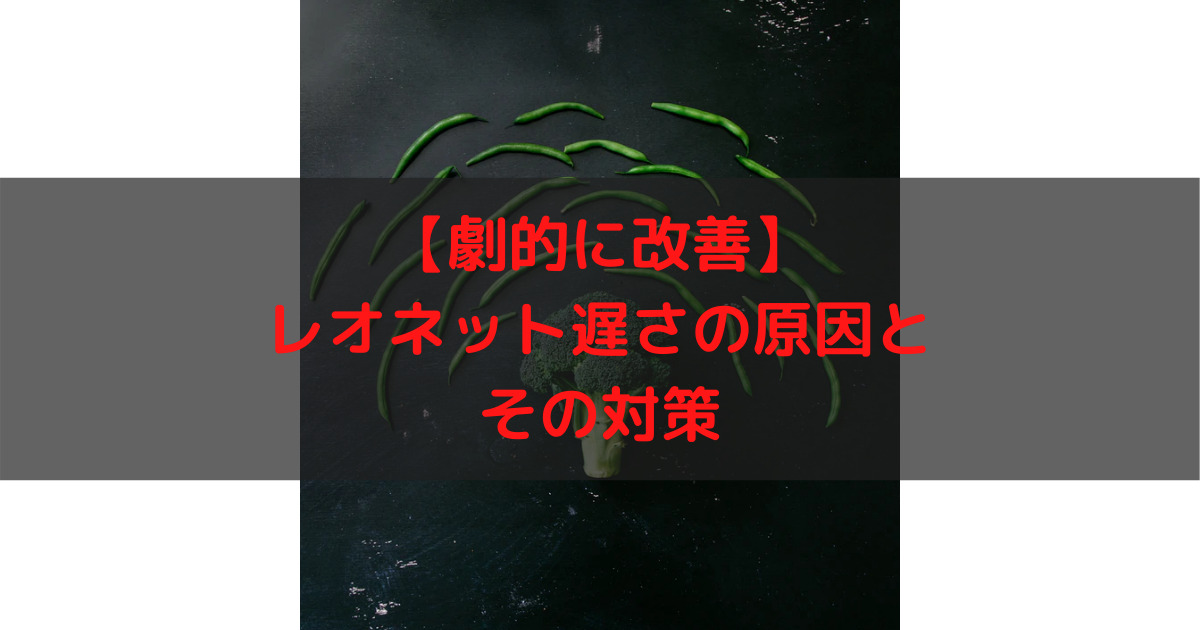 改善方法 レオネットの遅さの原因とその対策 あずれあぶろぐ